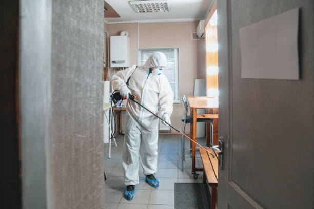 Best HVAC Mold Inspection and Cleaning  in Silverthorne, CO